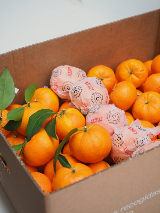 Caja mixta Mandarinas y Naranjas